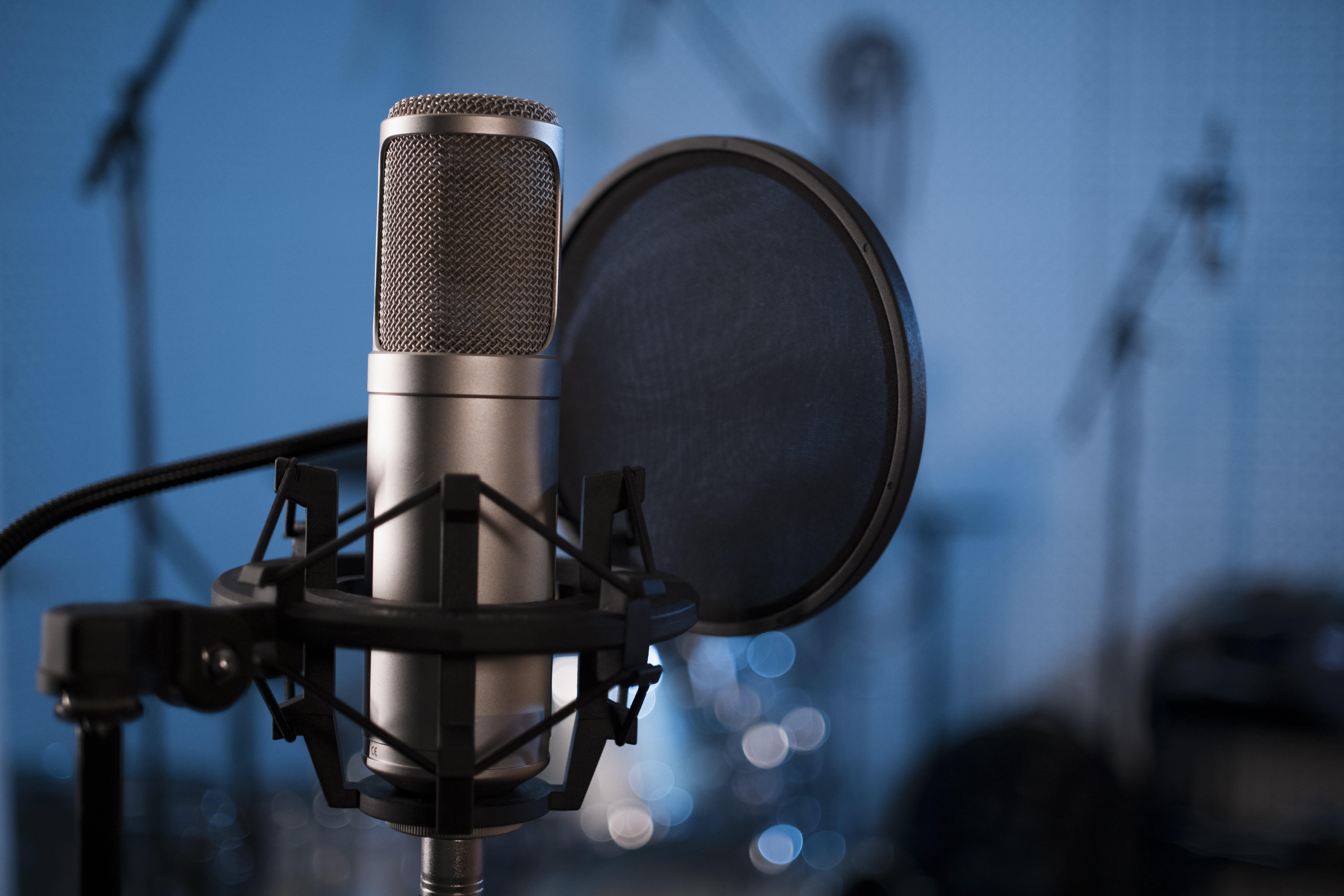 close-up-professional-microphone-pop-filter